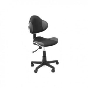 Xtech QZY-G2B Cannes - Silla de Oficina Ergonómica en Negro y Gris